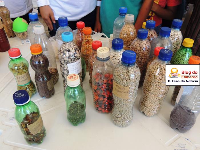Pedro II sedia III Festival das Sementes da Fartura do Piauí  - Imagem 6