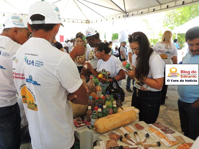 Pedro II sedia III Festival das Sementes da Fartura do Piauí  - Imagem 11