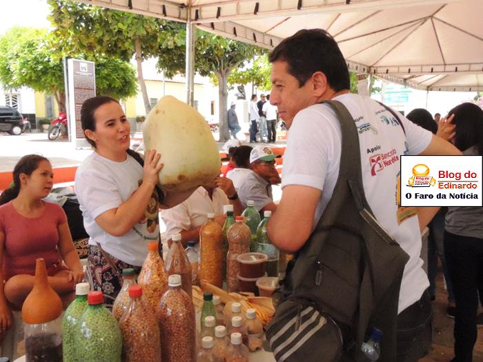 Pedro II sedia III Festival das Sementes da Fartura do Piauí  - Imagem 79