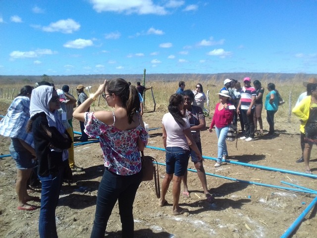 Colônia do Piauí recebe o Projeto “Sertão Irrigado” - Imagem 42