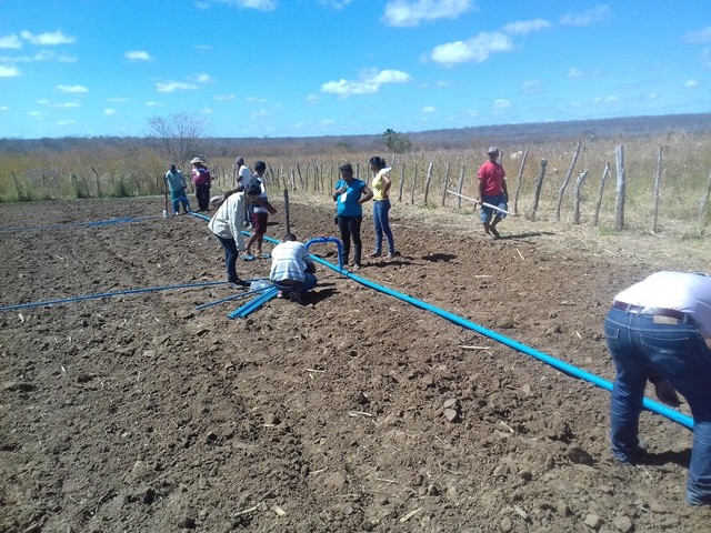 Colônia do Piauí recebe o Projeto “Sertão Irrigado” - Imagem 53