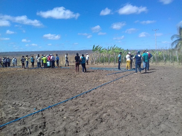 Colônia do Piauí recebe o Projeto “Sertão Irrigado” - Imagem 26