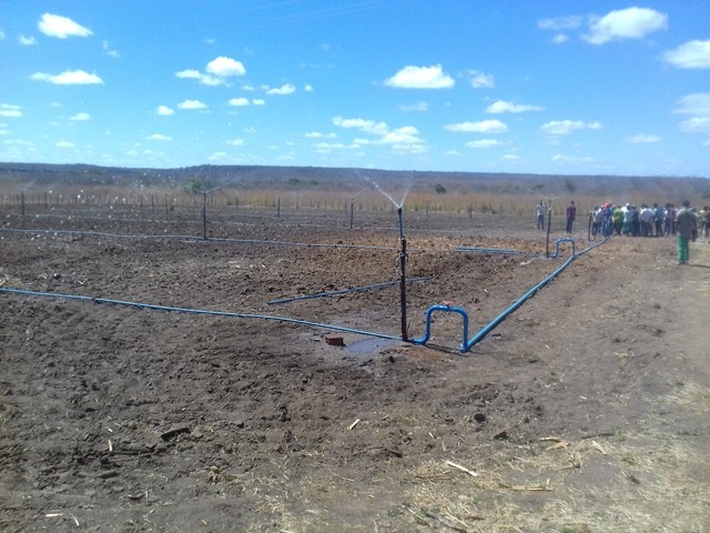 Colônia do Piauí recebe o Projeto “Sertão Irrigado” - Imagem 74