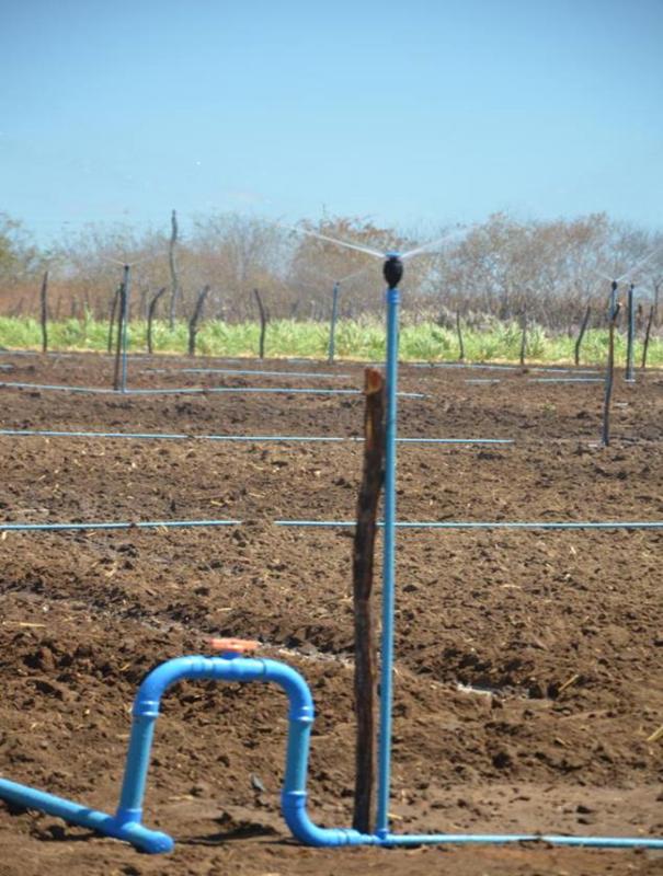 Colônia do Piauí recebe o Projeto “Sertão Irrigado” - Imagem 14