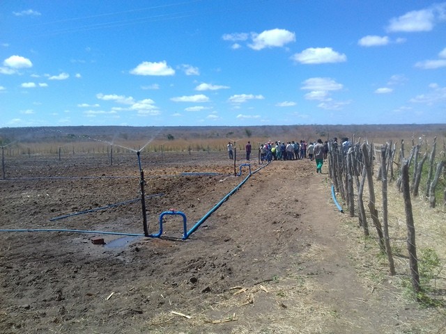 Colônia do Piauí recebe o Projeto “Sertão Irrigado” - Imagem 75