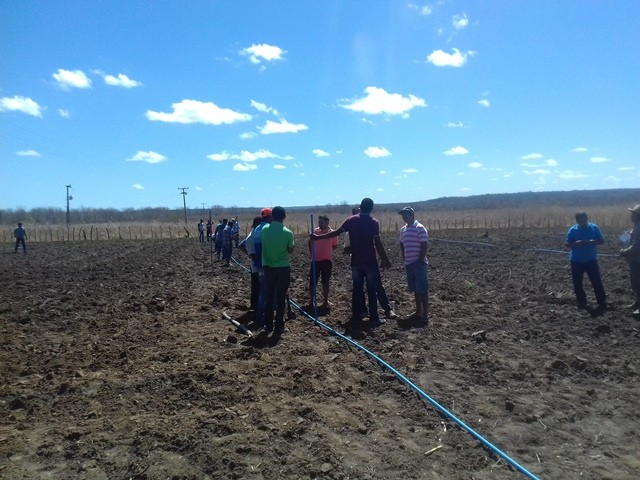 Colônia do Piauí recebe o Projeto “Sertão Irrigado” - Imagem 41