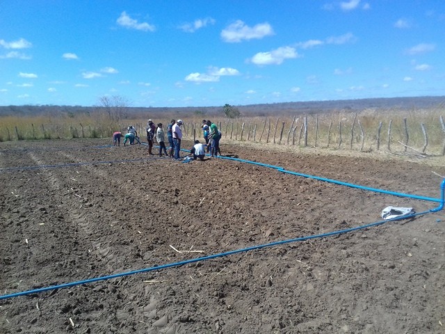 Colônia do Piauí recebe o Projeto “Sertão Irrigado” - Imagem 52