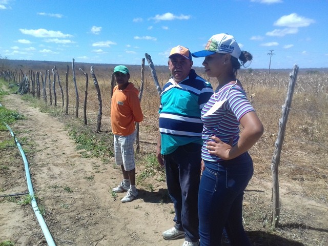 Colônia do Piauí recebe o Projeto “Sertão Irrigado” - Imagem 71