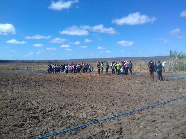Colônia do Piauí recebe o Projeto “Sertão Irrigado” - Imagem 27