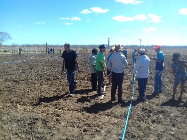Colônia do Piauí recebe o Projeto “Sertão Irrigado” - Imagem 50