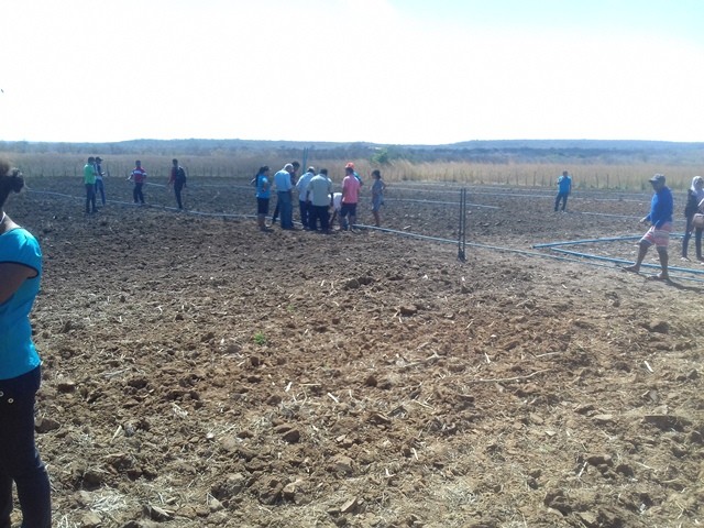 Colônia do Piauí recebe o Projeto “Sertão Irrigado” - Imagem 33