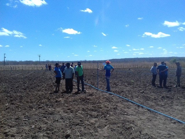 Colônia do Piauí recebe o Projeto “Sertão Irrigado” - Imagem 60