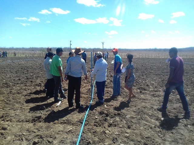 Colônia do Piauí recebe o Projeto “Sertão Irrigado” - Imagem 49