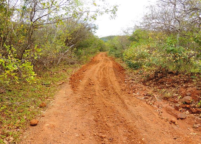 Município intensifica ações em estrada e esporte na zona rural - Imagem 6
