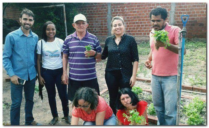 Profissionais faz acompanhamento da Horta Terapêutica  - Imagem 6