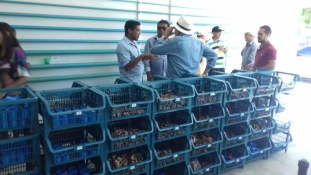 Oeiras e região ganha nova loja especializada em irrigação. - Imagem 42