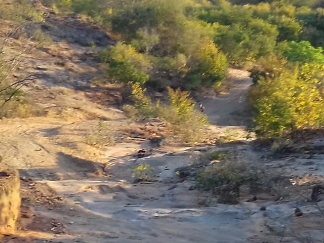 UESPI de Picos realiza curso de fotografia - Imagem 168