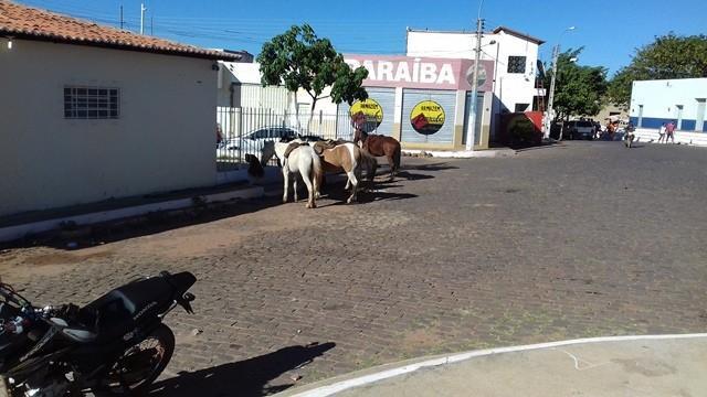 6ª Cavalgada de Dom Expedito Lopes - Imagem 5