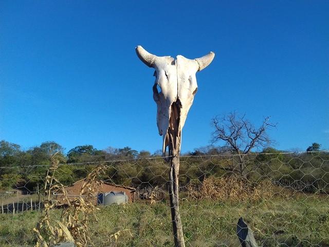 UESPI de Picos realiza curso de fotografia - Imagem 156