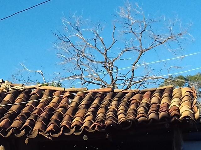 UESPI de Picos realiza curso de fotografia - Imagem 153