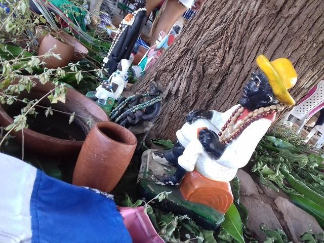 UESPI de Picos realiza curso de fotografia - Imagem 7