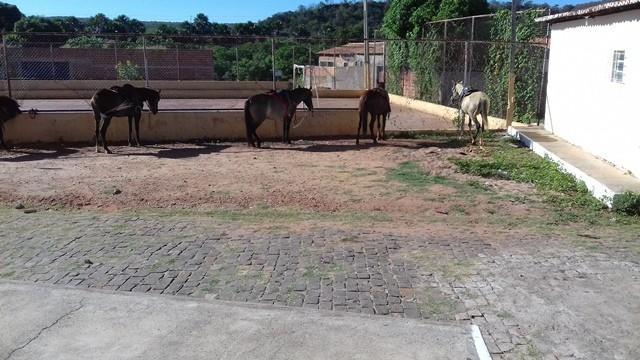 6ª Cavalgada de Dom Expedito Lopes - Imagem 4