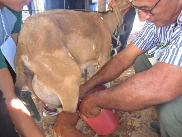 Prefeito participa do 1° Dia do Agricultor  - Imagem 26