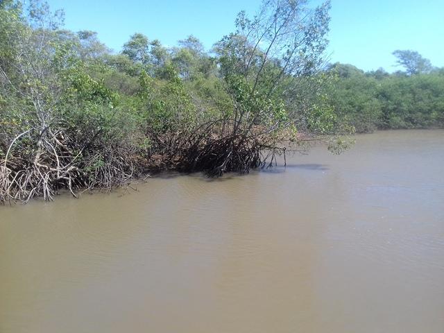 Gravações de O Morro Assombrado em Parnaíba - Imagem 31