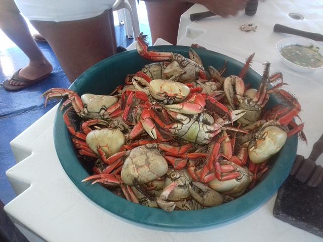 Gravações de O Morro Assombrado em Parnaíba - Imagem 60