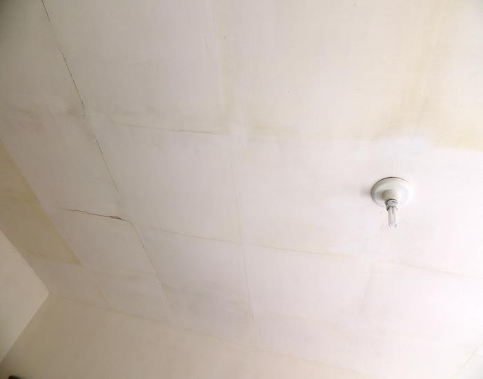 Município realiza ações na comunidade Palmeira dos Soares e região - Imagem 25