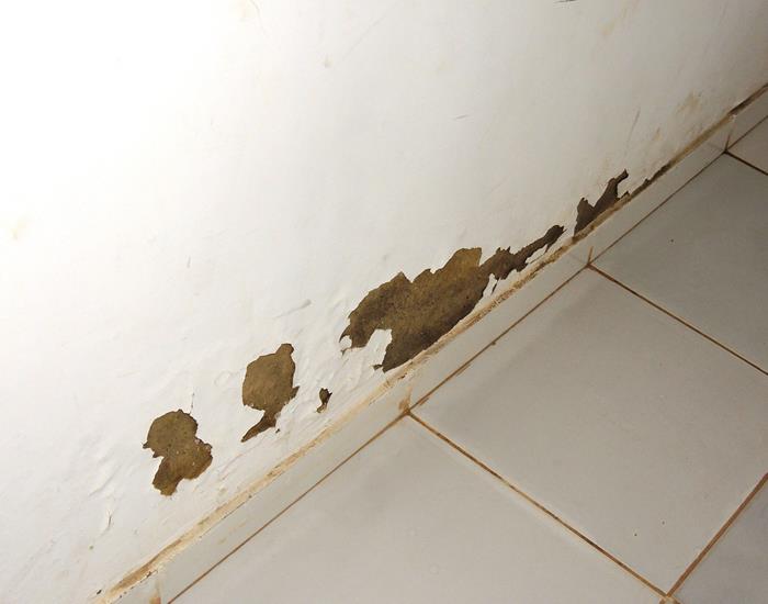 Município realiza ações na comunidade Palmeira dos Soares e região - Imagem 31