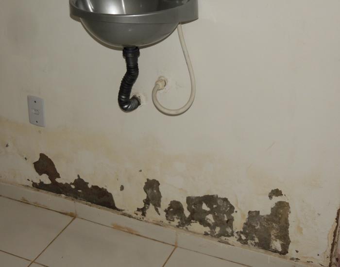 Município realiza ações na comunidade Palmeira dos Soares e região - Imagem 30