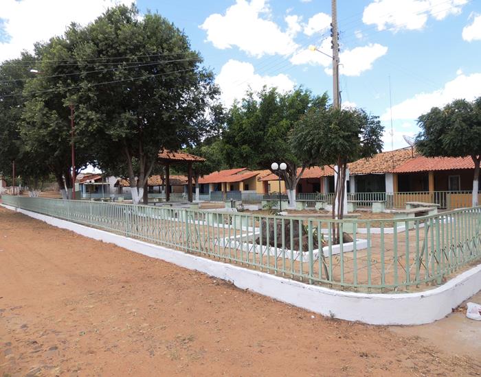 Município realiza ações na comunidade Palmeira dos Soares e região - Imagem 5