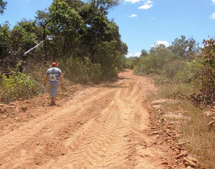 Município realiza ações na comunidade Palmeira dos Soares e região - Imagem 8