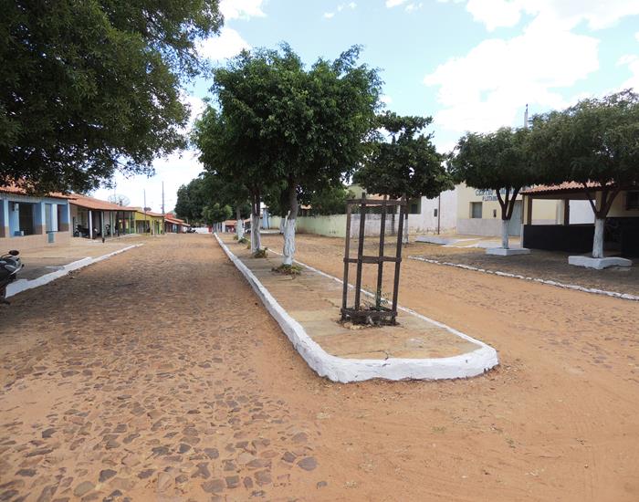 Município realiza ações na comunidade Palmeira dos Soares e região - Imagem 3