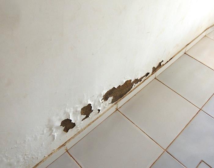 Município realiza ações na comunidade Palmeira dos Soares e região - Imagem 29