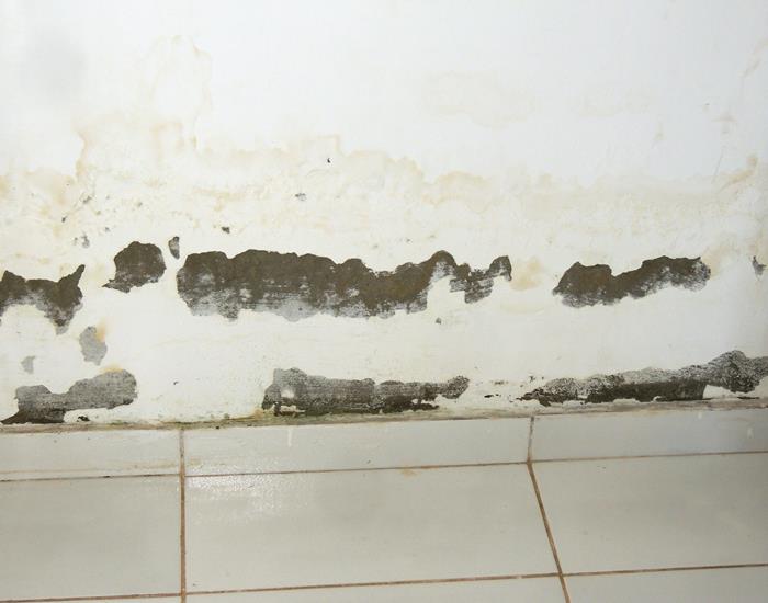 Município realiza ações na comunidade Palmeira dos Soares e região - Imagem 32