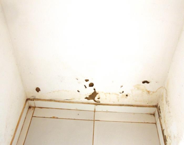 Município realiza ações na comunidade Palmeira dos Soares e região - Imagem 28