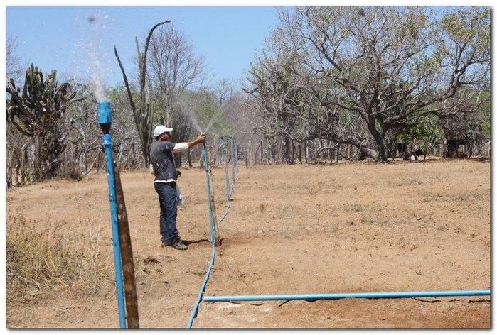 COFIR em parceria com a Prefeitura de Inhuma entrega Kits - Imagem 41