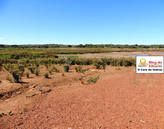 Fotos: Açude Joana agoniza e pede socorro - Imagem 6