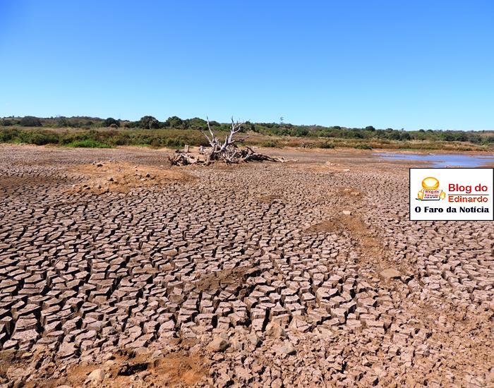 Fotos: Açude Joana agoniza e pede socorro - Imagem 24