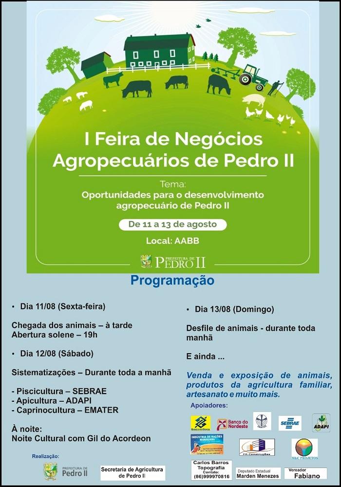 Município realiza a I Feira de Negócios Agropecuários de Pedro II - Imagem 1
