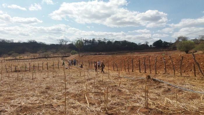 Secretária de Agricultura e SENAR realizam curso de Irrigação - Imagem 17