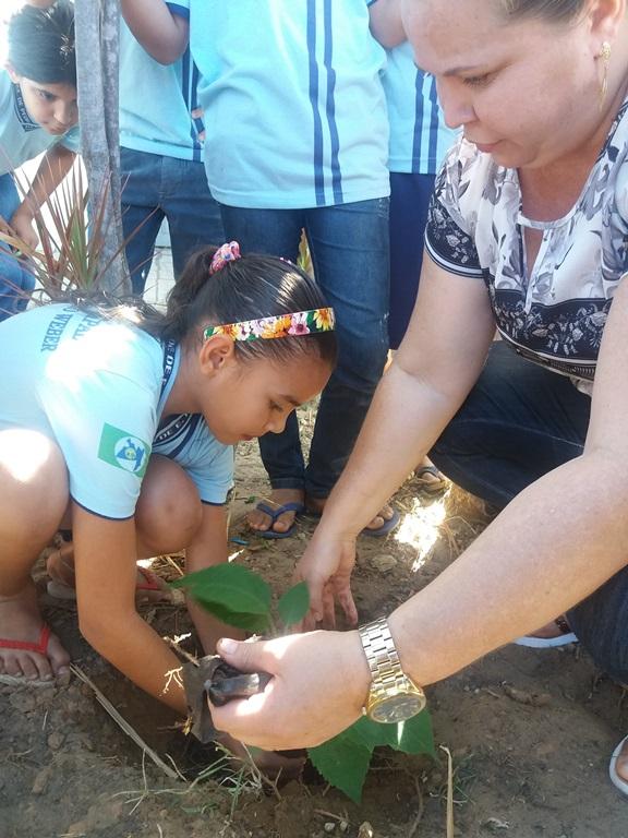 Projeto Mais Verde contempla escola Monsenhor Lotário Weber - Imagem 4