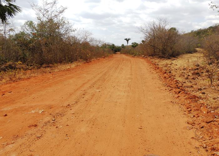 Estrada da comunidade Palmeira dos Soares (Crédito: Edinardo Pinto)