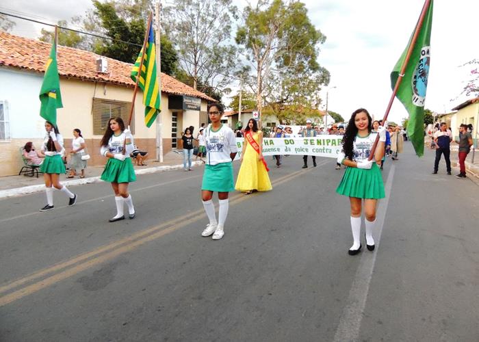Desfile do 7 de Setembro destaca a história do Brasil  - Imagem 109