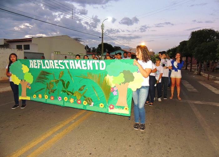 Desfile do 7 de Setembro destaca a história do Brasil  - Imagem 250