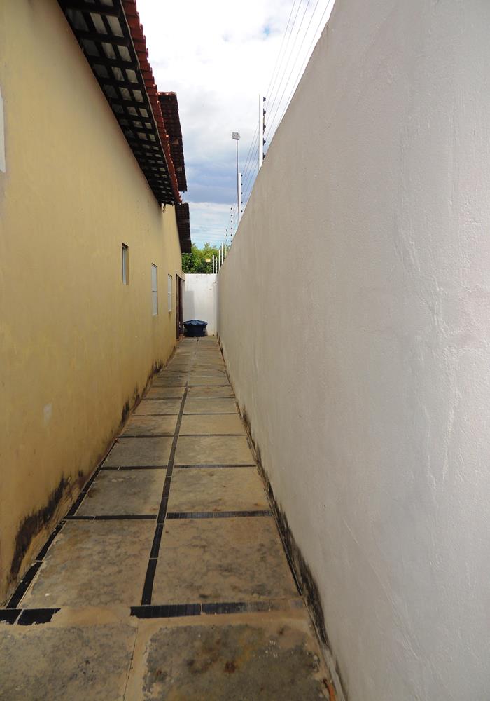 Lateral esquerda (Crédito: Edinardo Pinto )