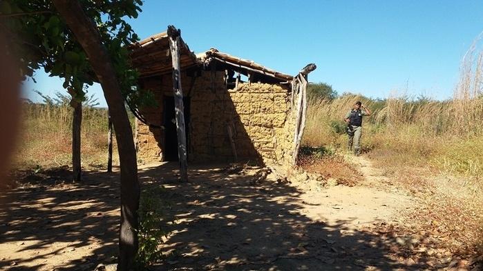 casebre utilizado pelos elementos (Crédito: Ronaldo Figueiredo )