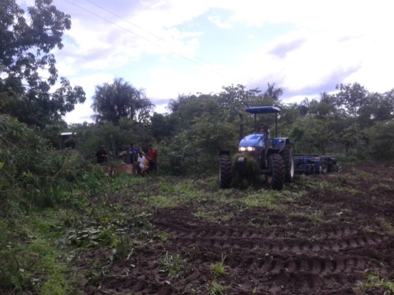 Prefeitura de Pedro II prepara terras de agricultores familiares para o plantio - Imagem 3